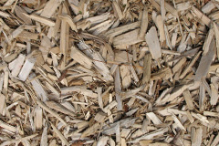 biomass boilers Chub Tor